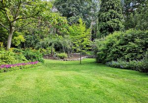 Optimiser l'expérience du jardin à Etevaux