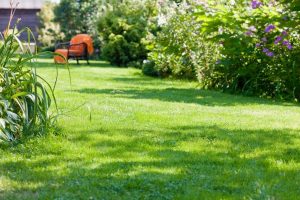 travaux jardin et paysage Etevaux